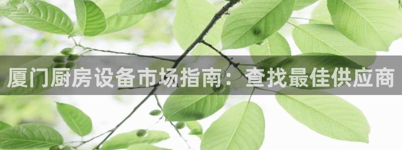 尊龙凯时出款：厦门厨房设备市场指南：查找最佳供应商