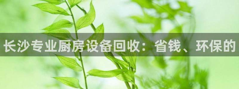 尊龙人生就是博网站下载：长沙专业厨房设备回收：省钱、环保的