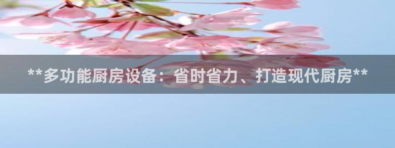 凯时K66最新版本下载：**多功能厨房设备：省时省力、打造现